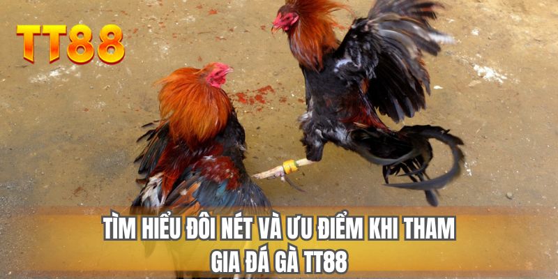Tìm hiểu đôi nét và ưu điểm khi tham gia đá gà TT88